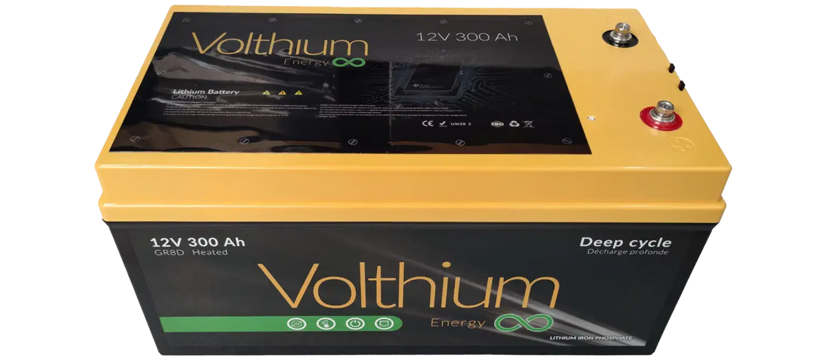BMS accessible de la batterie LiFePO4 Volthium 300Ah pour maintenance