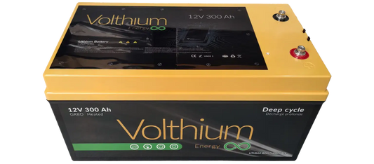 BMS accessible de la batterie LiFePO4 Volthium 300Ah pour maintenance